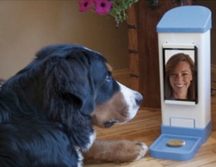 Teen S Invention Lets You Remotely Chat With Your Dog And Give It Treats