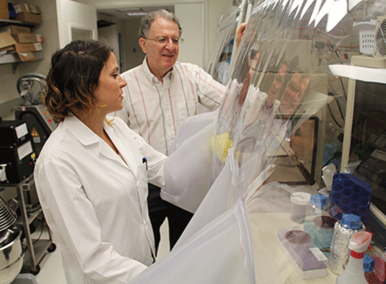 Vanessa Ridaura handles bacteria cultures from twins that will be transplanted into mice as she discusses the research with Jeffrey I. Gordon, MD, director of the Center for Genome Sciences and Systems Biology at Washington University.