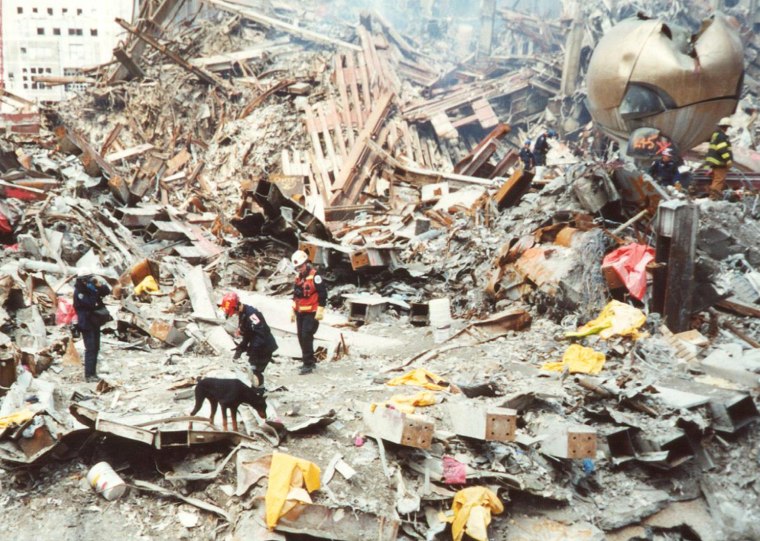 Image: \"Hero Dogs of 9/11\"