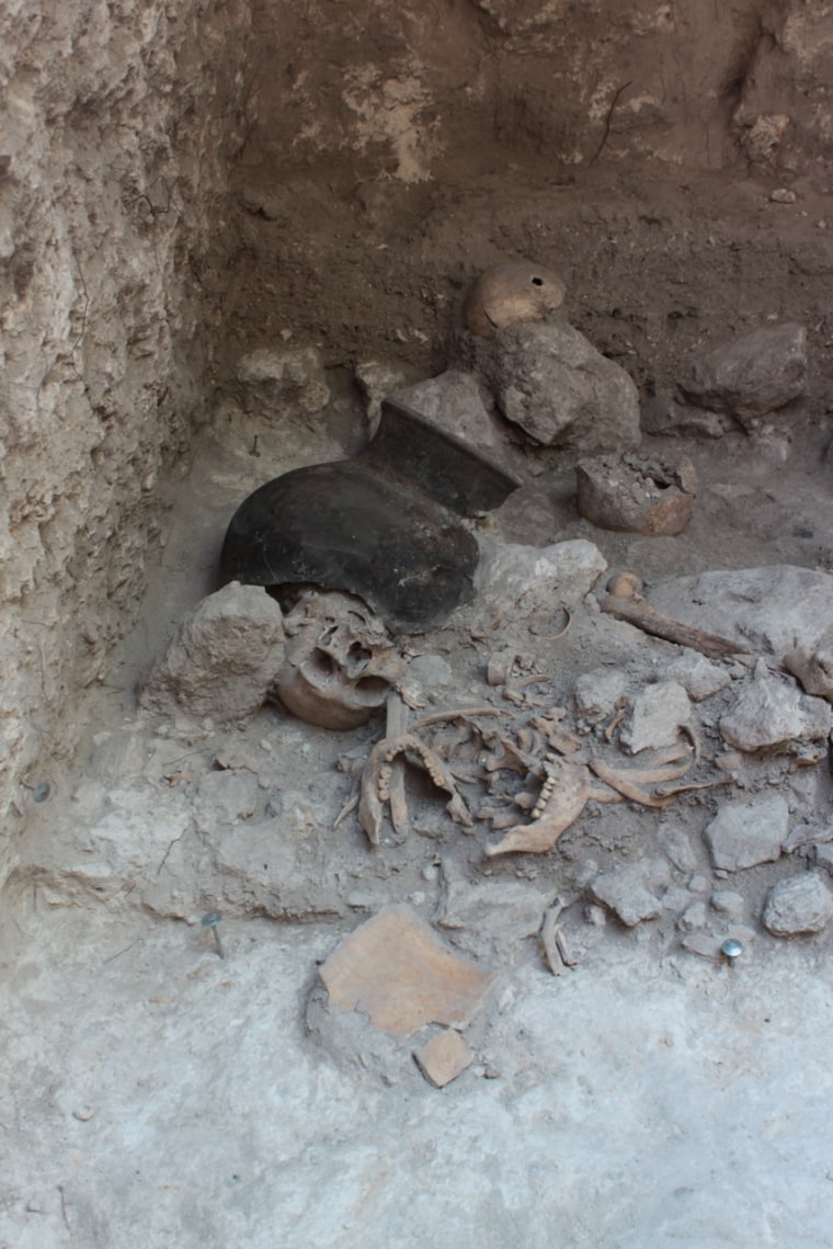 Scientists from the University of Bonn discovered the remains of dismembered human bodies in an artificial cave in the Classic Maya city Uxul in Mexico. Shown here, the cave's interior during the excavations with several skulls, lower jaws and ribs.