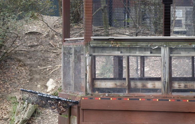 The overlook platform where a boy fell into the exhibit home to African painted dogs is seen at the Pittsburgh Zoo on Nov. 5, 2012.