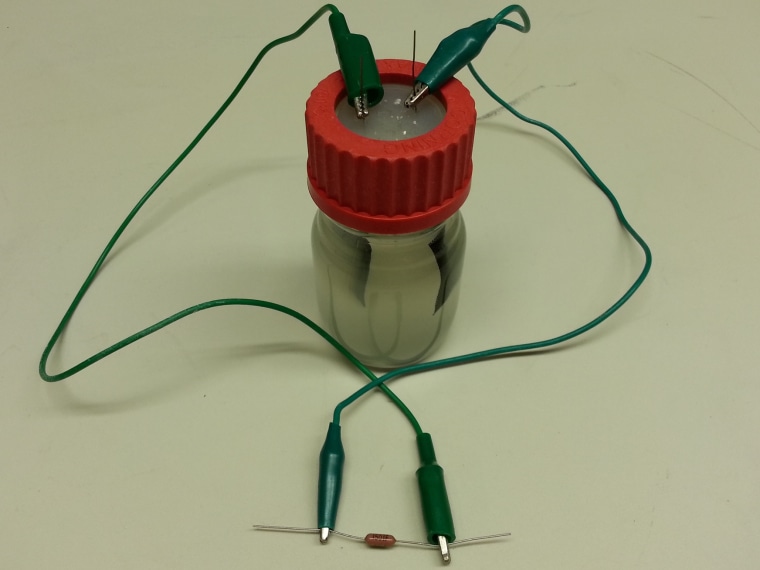 Image of microbial battery