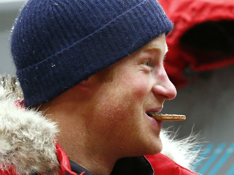 Britain's Prince Harry eats a biscuit after a cold chamber training exercise with the Walking with the Wounded South Pole Allied Challenge 2013 Britis...