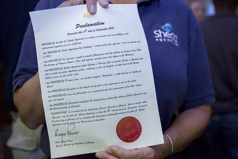 Image: Proclamation for Granddad the fish