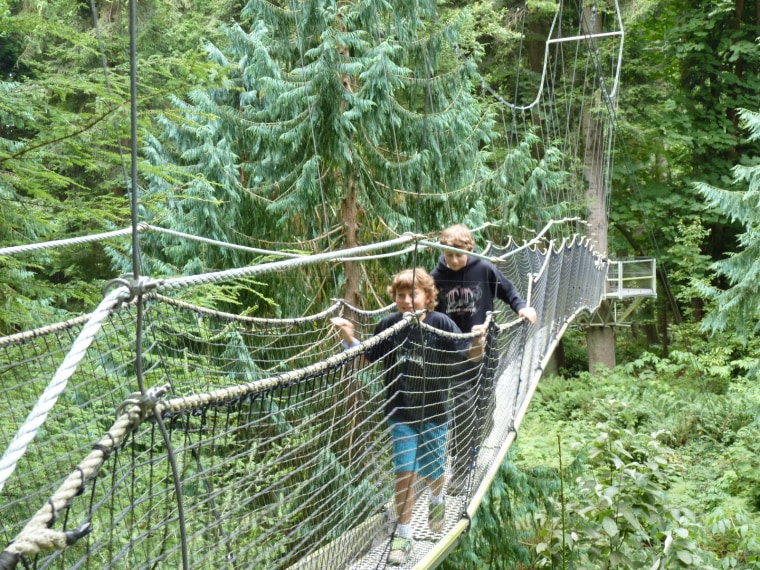 Greenheart Canopy Walkway