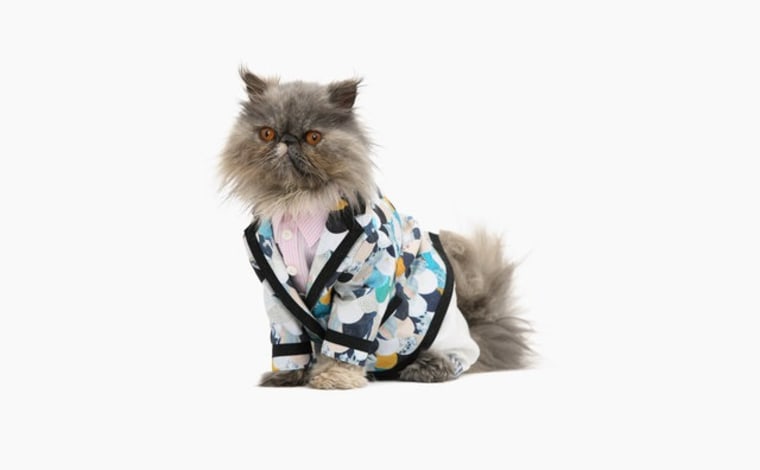 ModCloth Is Having A Sale On Cat-Related Items In Honor Of National Cat Day