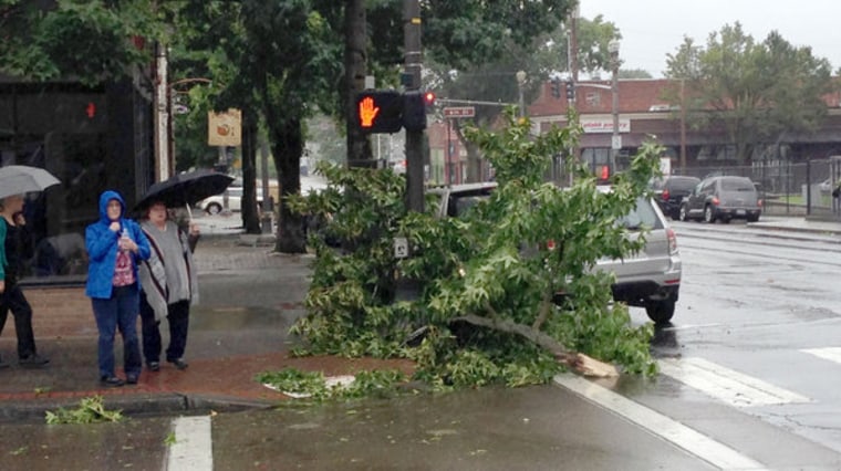 A large part of a tree is down at an intersection in the Portland area.
