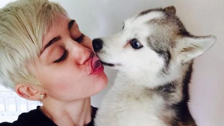 Image: Miley Cyrus and dog