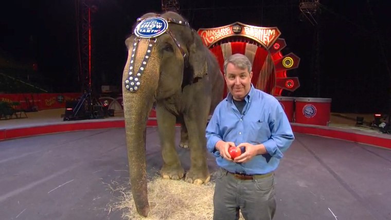 Alt image: Kerry Sanders with Carol the elephant.