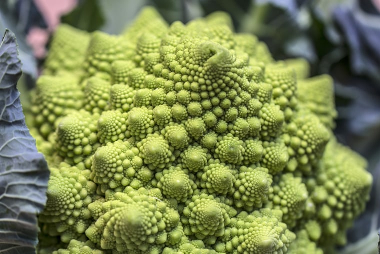 romanesco broccoli

If you like my work you can see more on my  <a href=\"http://www.photographybypixie.com\">Fine Art Photogr...