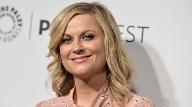 IMAGE: Amy Poehler