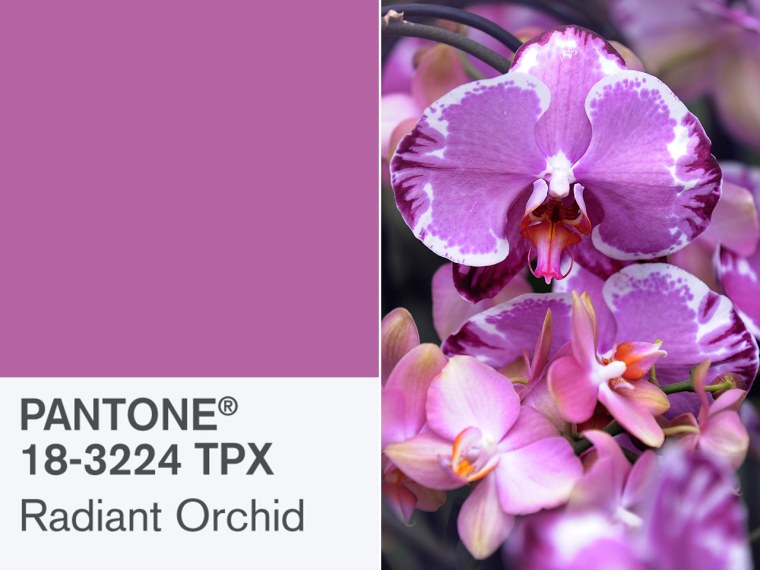 Stock up: Pantone selected Radiant Orchid as the 2014 Color of the Year.