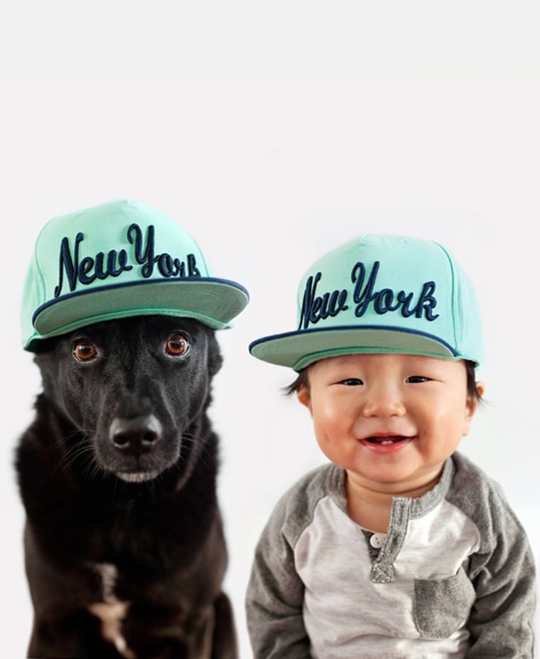 Cute and Adorable Male Baby with New York Yankee Hat Portrait