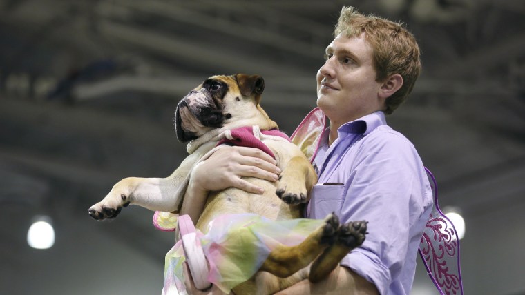 John Jacobson, of Pleasant Hill, Iowa, carries his dog Baby to the stage after it was named the miss congeniality winner at the 35th annual Drake Rela...