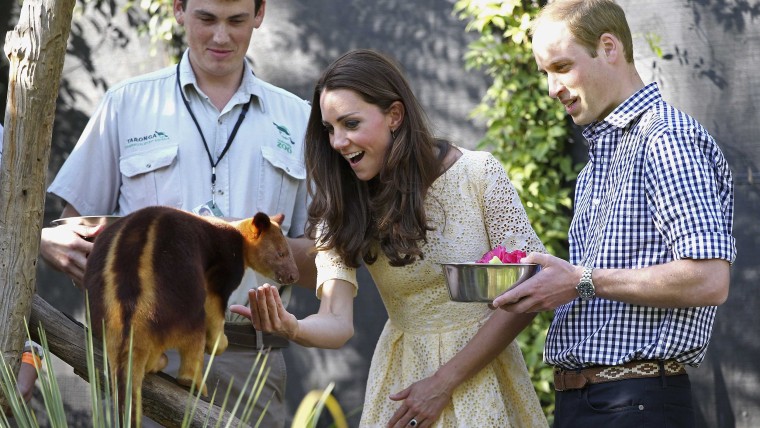 Duchess Kate and Prince William feed a tree kangaroo at Taronga Zoo in Sydney on April 20, 2014.