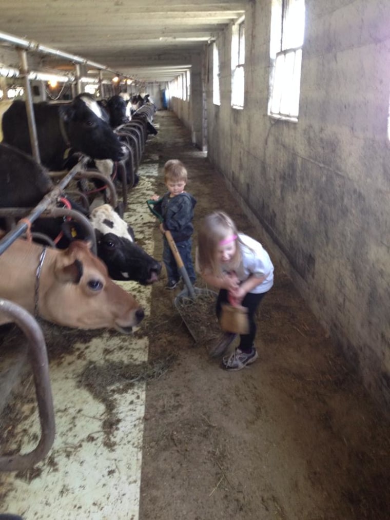 My 2- and 4-year-old helping their dad feed the cows at our dairy farm.