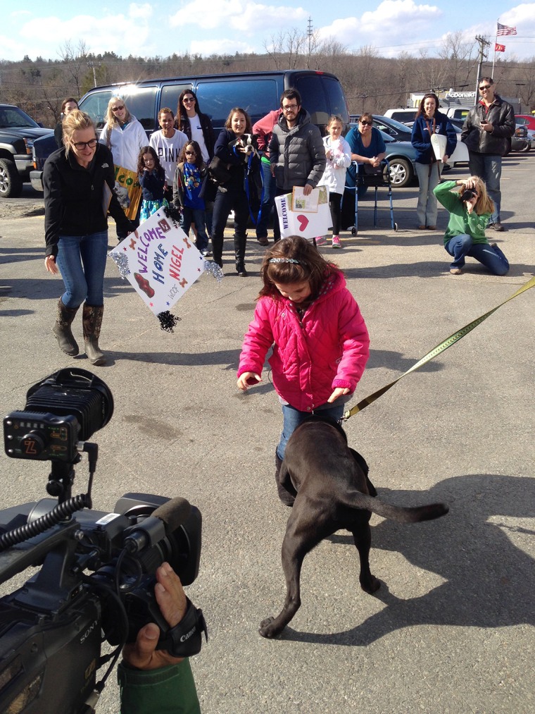 Lylia Davies meets her rescued pup Nigel for the first time.