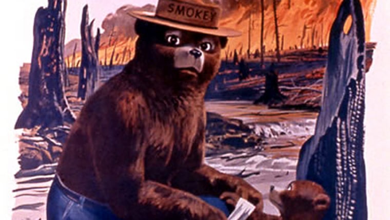 This poster from the U.S. Agriculture Dept. web site shows Smokey Bear in a 1960s-era poster. The AD Council has launched a new campaign to revise Smo...