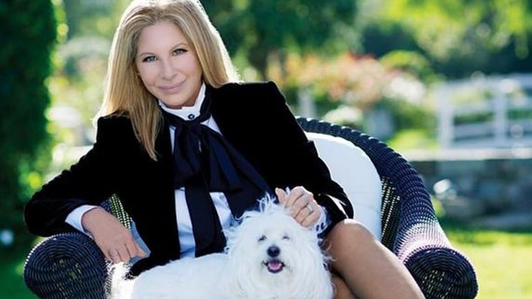 IMAGE: Barbra Streisand