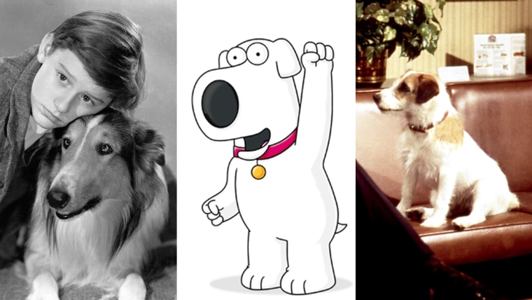 Good dog! 5 TV pooches who lead the pack on National Dog Day