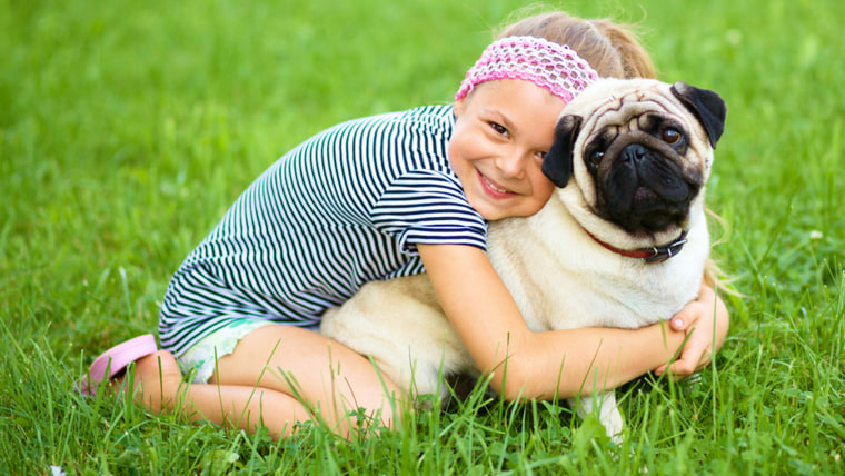 Little girl and her pug dog on green grass, outdoor shoot; Shutterstock ID 211689823; PO: TODAY.com