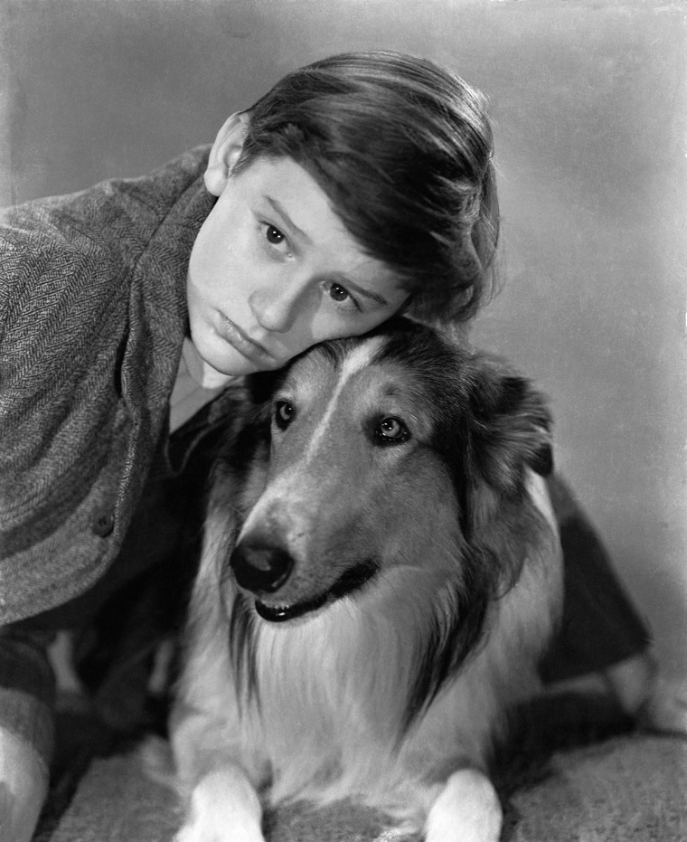 Image: \"Lassie Come Home,\" featuring Roddy McDowall.