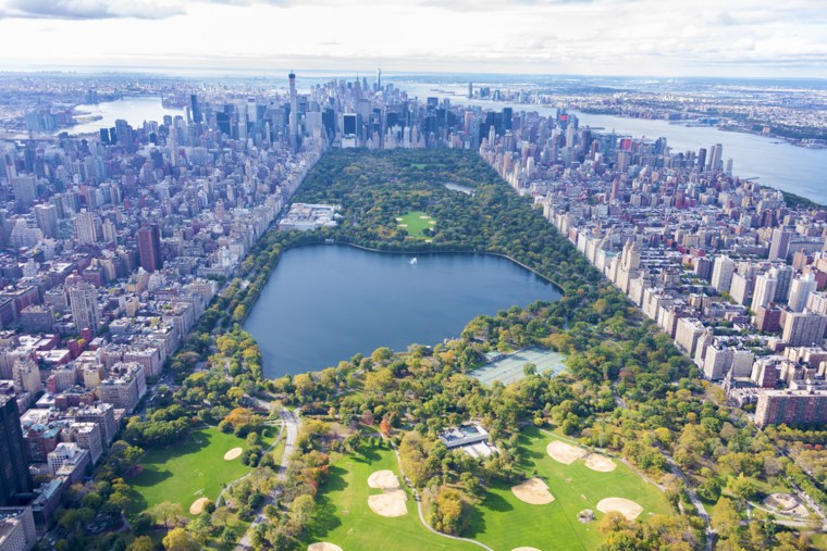 Image: Central Park