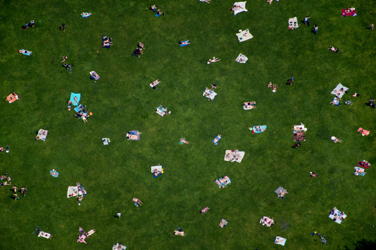 Image: Central Park lawn.