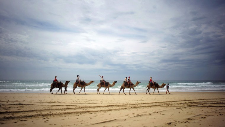IMAGE: Tourists ride on a camel safari in Australia