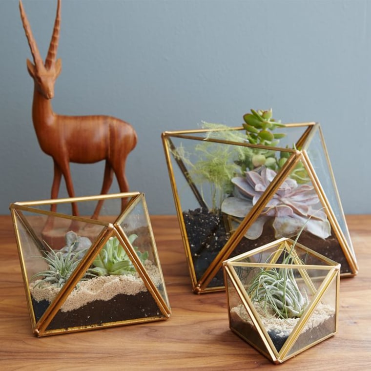 Faceted terrariums