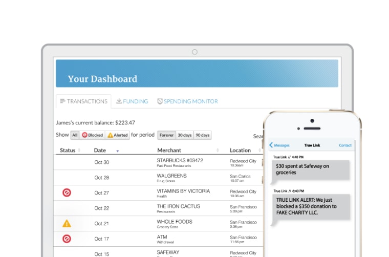 True Link dashboard