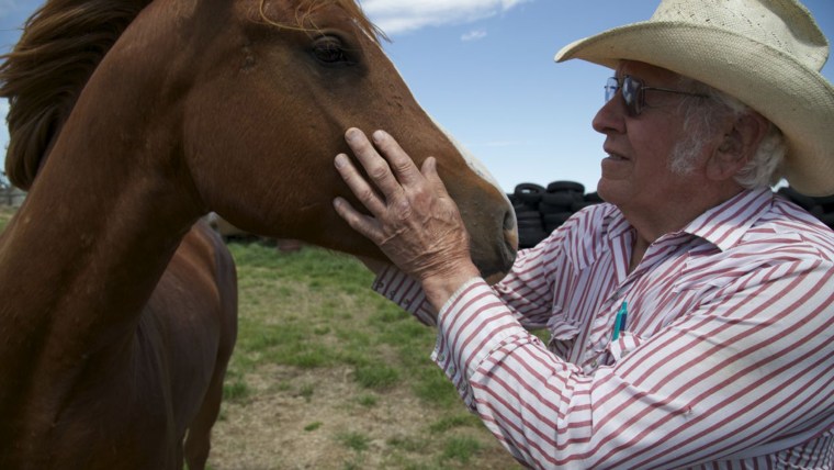 Don Haber and his horse on the Haber's farm outside of Circle, Montana