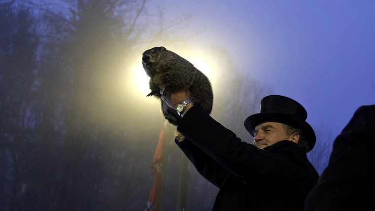Groundhog handler John Griffiths holds Punxsutawney Phil after he saw his shadow.