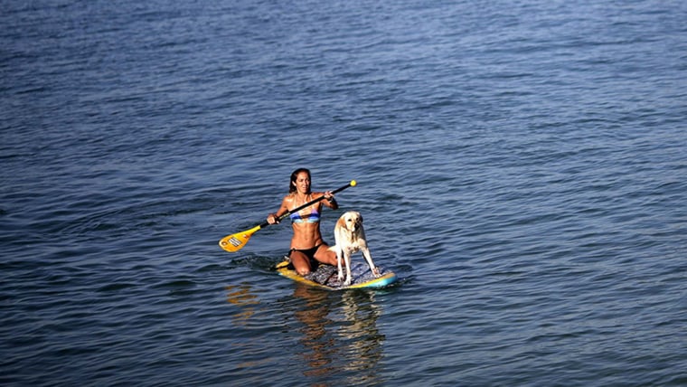 A woman paddles with her dog on a surfboard