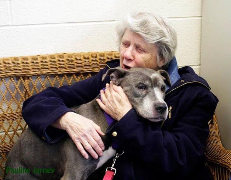 Sister Virginia Johnson and Remy the dog