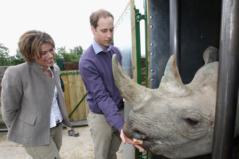 LYMPNE, ENGLAND - JUNE 06:  Prince William, Duke of Cambridge poses with 5 year old black rhino called Zawadi and BBC's Kate Silverton as he visits Po...