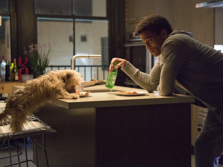 Danny (Michael Ealy) shares his lonely dinner with his dog Pacino in \"About Last Night.\"