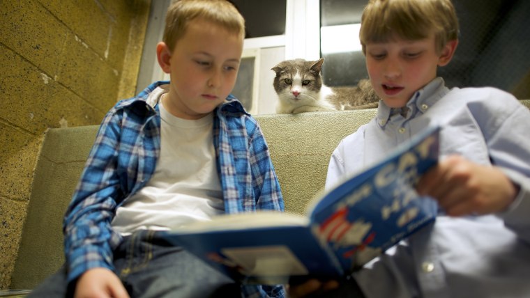 Samuel Trego and Ben Spiri (right) read to Stewart the cat.