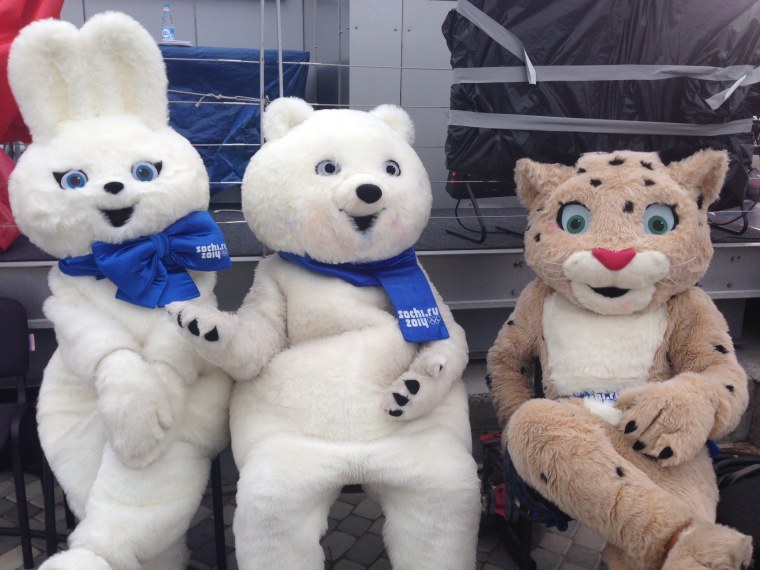 The three Sochi mascots greeted guests and snapped photos backstage at TODAY on Monday when they weren't catching a much-needed break.