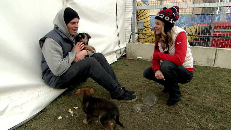 Gus Kenworthy talked to Natalie Morales on TODAY Wednesday about his efforts to rescue stray dogs in Sochi.