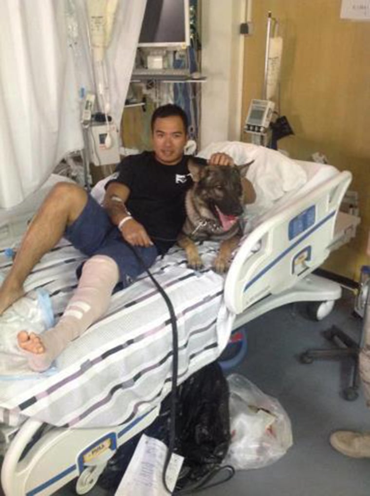 Nico the dog in hospital bed with wounded Sgt. Calvin Aguilar