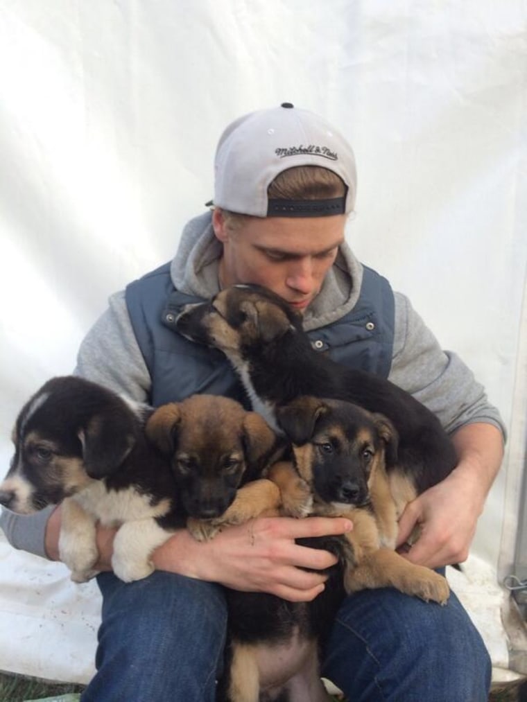 Gus Kenworthy