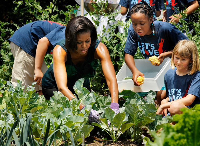 WASHINGTON - JUNE 04:  U.S. first lady Michelle Obama harvests vegetables with students from Hollin Meadows Elementary School in Alexandria, Virginia,...