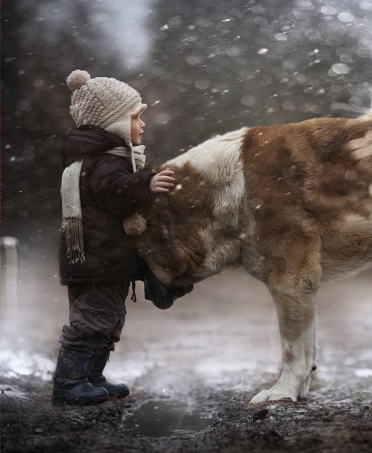 Elena Shumilova