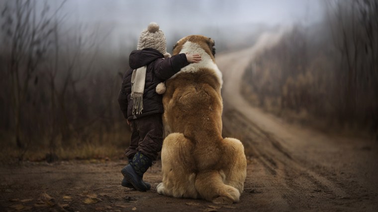 Elena Shumilova