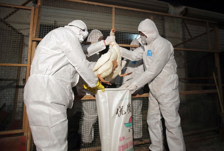 Health officials in protective suits put a goose into a sack as part of preventive measures against the H7N9 bird flu at a poultry market in Zhuji, Zh...