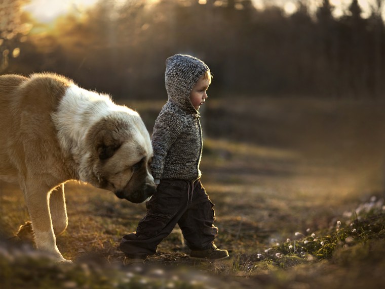 Shumilova's son, Vanya, walks with one of the family's dogs.