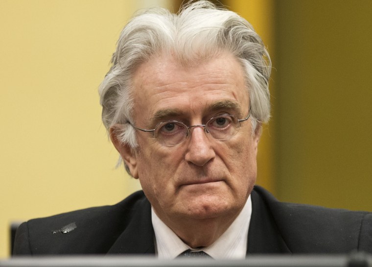 Bosnian Serb wartime leader Radovan Karadzic in the courtroom for his appeals judgement at the International Criminal Tribunal for Former Yugoslavia (ICTY) in The Hague, The Netherlands in a photo taken on July 11, 2013.