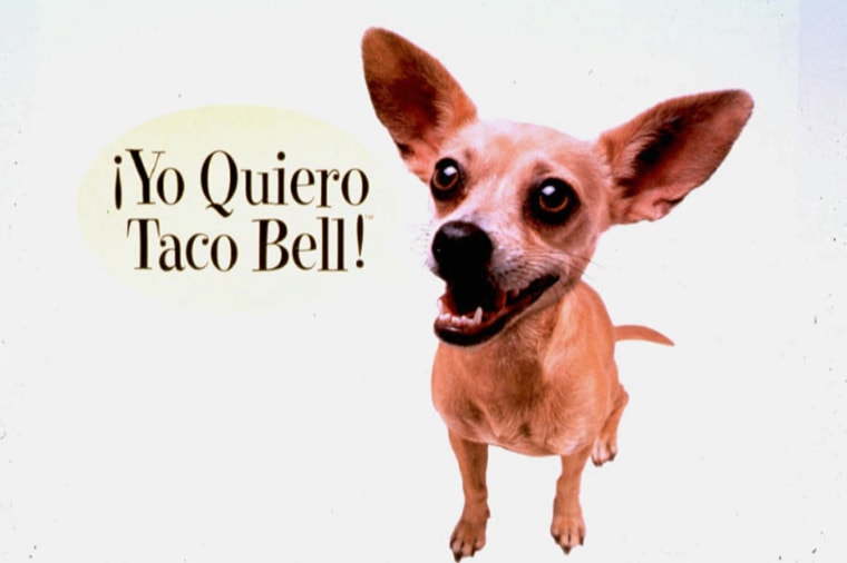 Taco Bell Chihuahua