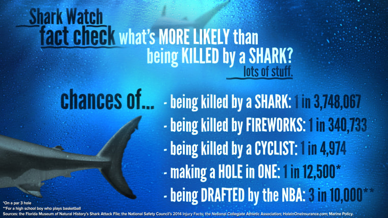 Image: Shark Watch fact check